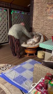 Видео