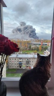 Галерея